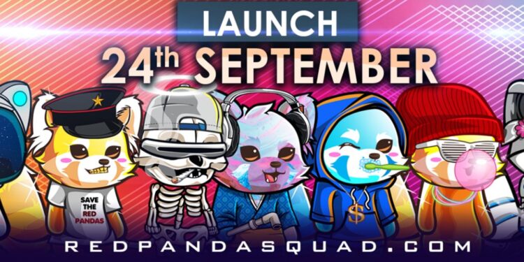 The world’s most coveted NFT to hit Solana: Red Panda Squad