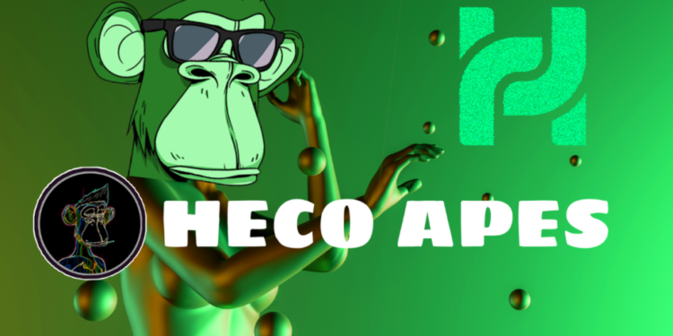 The Incredible Success Story Of HecoApes NFT Collection